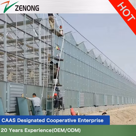 Venlo Hollow Double Tempered Glass Greenhouse with Hydroponics Growing System for Vegetables/ Flowers/ Tomato/ Farm/ Garden/ Eco Restaurant / Agriculture