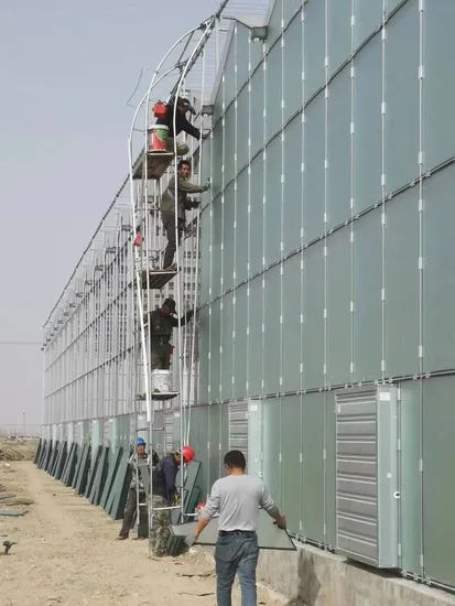 Venlo Hollow Double Tempered Glass Greenhouse with Hydroponics Growing System for Vegetables/ Flowers/ Tomato/ Farm/ Garden/ Eco Restaurant / Agriculture