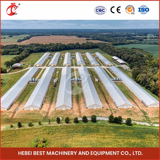 Bestchickencage Lüftungskontrollsystem China Modern Chicken Environment Lüftungskontrollsystem Fabrik ODM Kundenspezifische Klimakontrolle für Gewächshäuser