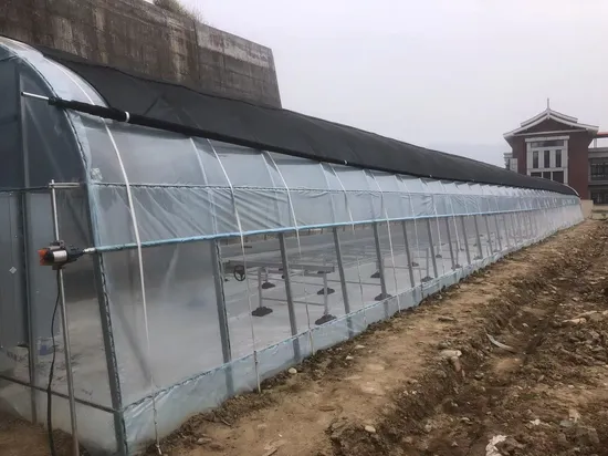 Trinog China stellte ein landwirtschaftliches Gewächshaus mit Multispan-Hydrokultur-Kunststofffolie für kommerzielle landwirtschaftliche Betriebe her